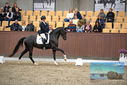 Filename=PT9_8183.JPG
Filesize=421KiB
Dimensions=1224x817
Date added=Oct 18, 2022 PT9_8183.JPG