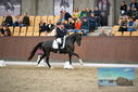 Filename=PT9_8190.JPG
Filesize=417KiB
Dimensions=1224x817
Date added=Oct 18, 2022 PT9_8190.JPG