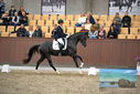 Filename=PT9_8191.JPG
Filesize=386KiB
Dimensions=1224x817
Date added=Oct 18, 2022 PT9_8191.JPG
