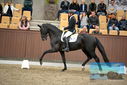 Filename=PT9_8204.JPG
Filesize=398KiB
Dimensions=1224x817
Date added=Oct 18, 2022 PT9_8204.JPG