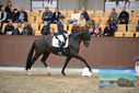 Filename=PT9_8207.JPG
Filesize=403KiB
Dimensions=1224x817
Date added=Oct 18, 2022 PT9_8207.JPG