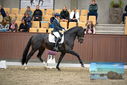 Filename=PT9_8208.JPG
Filesize=416KiB
Dimensions=1224x817
Date added=Oct 18, 2022 PT9_8208.JPG
