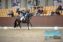 Filename=PT9_8214.JPG
Filesize=409KiB
Dimensions=1224x817
Date added=Oct 18, 2022 PT9_8214.JPG