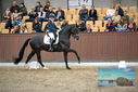 Filename=PT9_8216.JPG
Filesize=414KiB
Dimensions=1224x817
Date added=Oct 18, 2022 PT9_8216.JPG
