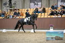 Filename=PT9_8218.JPG
Filesize=421KiB
Dimensions=1224x817
Date added=Oct 18, 2022 PT9_8218.JPG