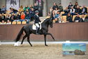 Filename=PT9_8219.JPG
Filesize=388KiB
Dimensions=1224x817
Date added=Oct 18, 2022 PT9_8219.JPG