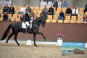 Filename=PT9_8220.JPG
Filesize=421KiB
Dimensions=1224x817
Date added=Oct 18, 2022 PT9_8220.JPG