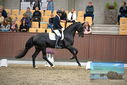 Filename=PT9_8221.JPG
Filesize=422KiB
Dimensions=1224x817
Date added=Oct 18, 2022 PT9_8221.JPG