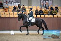Filename=PT9_8227.JPG
Filesize=386KiB
Dimensions=1224x817
Date added=Oct 18, 2022 PT9_8227.JPG