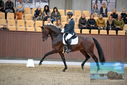 Filename=PT9_8228.JPG
Filesize=376KiB
Dimensions=1224x817
Date added=Oct 18, 2022 PT9_8228.JPG