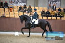 Filename=PT9_8231.JPG
Filesize=390KiB
Dimensions=1224x817
Date added=Oct 18, 2022 PT9_8231.JPG