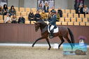 Filename=PT9_8232.JPG
Filesize=408KiB
Dimensions=1224x817
Date added=Oct 18, 2022 PT9_8232.JPG