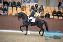 Filename=PT9_8233.JPG
Filesize=380KiB
Dimensions=1224x817
Date added=Oct 18, 2022 PT9_8233.JPG