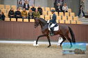 Filename=PT9_8236.JPG
Filesize=403KiB
Dimensions=1224x817
Date added=Oct 18, 2022 PT9_8236.JPG