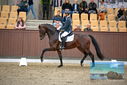 Filename=PT9_8239.JPG
Filesize=361KiB
Dimensions=1224x817
Date added=Oct 18, 2022 PT9_8239.JPG