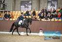 Filename=PT9_8240.JPG
Filesize=397KiB
Dimensions=1224x817
Date added=Oct 18, 2022 PT9_8240.JPG