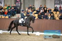 Filename=PT9_8241.JPG
Filesize=392KiB
Dimensions=1224x817
Date added=Oct 18, 2022 PT9_8241.JPG