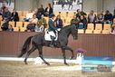 Filename=PT9_8242.JPG
Filesize=418KiB
Dimensions=1224x817
Date added=Oct 18, 2022 PT9_8242.JPG