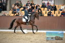 Filename=PT9_8244.JPG
Filesize=417KiB
Dimensions=1224x817
Date added=Oct 18, 2022 PT9_8244.JPG