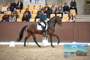 Filename=PT9_8246.JPG
Filesize=423KiB
Dimensions=1224x817
Date added=Oct 18, 2022 PT9_8246.JPG