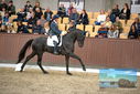 Filename=PT9_8248.JPG
Filesize=412KiB
Dimensions=1224x817
Date added=Oct 18, 2022 PT9_8248.JPG