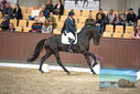 Filename=PT9_8249.JPG
Filesize=417KiB
Dimensions=1224x817
Date added=Oct 18, 2022 PT9_8249.JPG