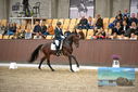 Filename=PT9_8250.JPG
Filesize=385KiB
Dimensions=1224x817
Date added=Oct 18, 2022 PT9_8250.JPG