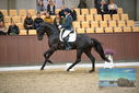 Filename=PT9_8254.JPG
Filesize=352KiB
Dimensions=1224x817
Date added=Oct 18, 2022 PT9_8254.JPG