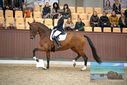 Filename=PT9_8261.JPG
Filesize=414KiB
Dimensions=1224x817
Date added=Oct 18, 2022 PT9_8261.JPG