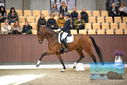 Filename=PT9_8265.JPG
Filesize=350KiB
Dimensions=1224x817
Date added=Oct 18, 2022 PT9_8265.JPG