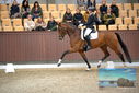 Filename=PT9_8269.JPG
Filesize=351KiB
Dimensions=1224x817
Date added=Oct 18, 2022 PT9_8269.JPG
