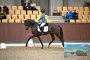 Filename=PT9_8270.JPG
Filesize=399KiB
Dimensions=1224x817
Date added=Oct 18, 2022 PT9_8270.JPG