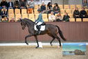 Filename=PT9_8273.JPG
Filesize=350KiB
Dimensions=1224x817
Date added=Oct 18, 2022 PT9_8273.JPG