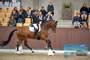 Filename=PT9_8275.JPG
Filesize=379KiB
Dimensions=1224x817
Date added=Oct 18, 2022 PT9_8275.JPG