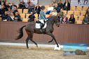 Filename=PT9_8276.JPG
Filesize=383KiB
Dimensions=1224x817
Date added=Oct 18, 2022 PT9_8276.JPG