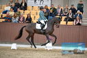 Filename=PT9_8277.JPG
Filesize=430KiB
Dimensions=1224x817
Date added=Oct 18, 2022 PT9_8277.JPG