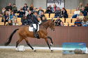 Filename=PT9_8278.JPG
Filesize=384KiB
Dimensions=1224x817
Date added=Oct 18, 2022 PT9_8278.JPG