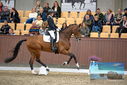 Filename=PT9_8279.JPG
Filesize=424KiB
Dimensions=1224x817
Date added=Oct 18, 2022 PT9_8279.JPG