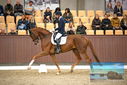 Filename=PT9_8288.JPG
Filesize=358KiB
Dimensions=1224x817
Date added=Oct 18, 2022 PT9_8288.JPG