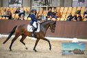Filename=PT9_8291.JPG
Filesize=407KiB
Dimensions=1224x817
Date added=Oct 18, 2022 PT9_8291.JPG