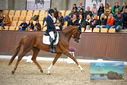 Filename=PT9_8293.JPG
Filesize=429KiB
Dimensions=1224x817
Date added=Oct 18, 2022 PT9_8293.JPG