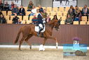 Filename=PT9_8295.JPG
Filesize=413KiB
Dimensions=1224x817
Date added=Oct 18, 2022 PT9_8295.JPG