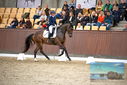 Filename=PT9_8296.JPG
Filesize=436KiB
Dimensions=1224x817
Date added=Oct 18, 2022 PT9_8296.JPG