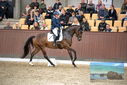 Filename=PT9_8297.JPG
Filesize=405KiB
Dimensions=1224x817
Date added=Oct 18, 2022 PT9_8297.JPG