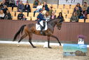 Filename=PT9_8298.JPG
Filesize=437KiB
Dimensions=1224x817
Date added=Oct 18, 2022 PT9_8298.JPG