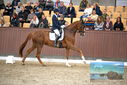 Filename=PT9_8300.JPG
Filesize=439KiB
Dimensions=1224x817
Date added=Oct 18, 2022 PT9_8300.JPG