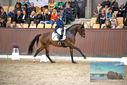Filename=PT9_8302.JPG
Filesize=427KiB
Dimensions=1224x817
Date added=Oct 18, 2022 PT9_8302.JPG