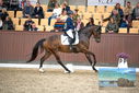 Filename=PT9_8303.JPG
Filesize=427KiB
Dimensions=1224x817
Date added=Oct 18, 2022 PT9_8303.JPG