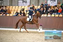 Filename=PT9_8304.JPG
Filesize=434KiB
Dimensions=1224x817
Date added=Oct 18, 2022 PT9_8304.JPG