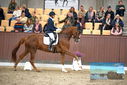 Filename=PT9_8306.JPG
Filesize=360KiB
Dimensions=1224x817
Date added=Oct 18, 2022 PT9_8306.JPG